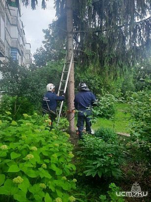 Коты, артснаряд и возгорания 