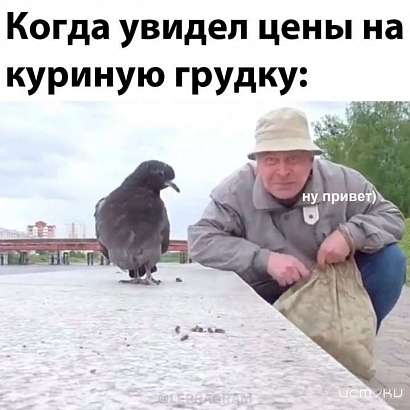 Жители Орловщины делают мемы на тему подорожавшей курятины
