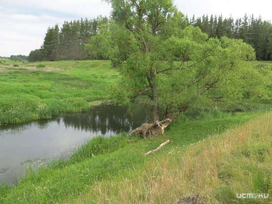 Учительницу школы после гибели двух детей в Залегощенском районе будут судить за халатность