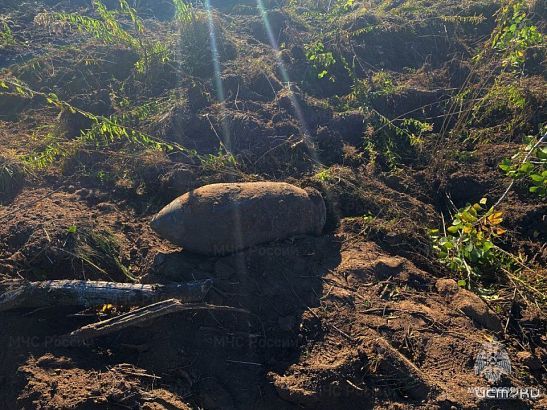 В Болховском районе обнаружили 32 взрывоопасных предмета