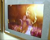 От Сабуровских люпин до тропических ливней. «Фотографический сонет» Елены Кулагиной