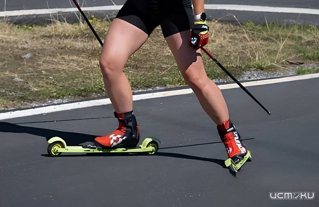 В Ливнах проложат лыжероллерную трассу