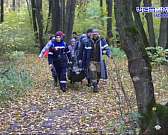 Чужого горя не бывает: орловские волонтеры-поисковики делают все, чтобы люди не пропали навсегда