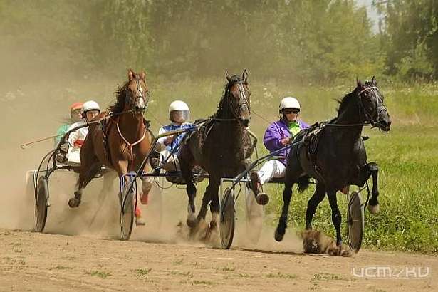 В Орле состоятся очередные конные бега