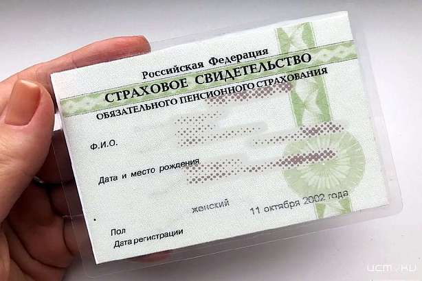 В России решили отказаться от бумажных СНИЛС