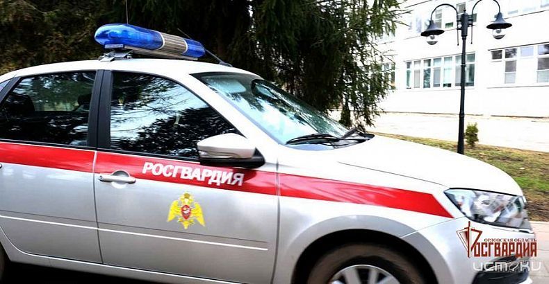 Дебошира во мценском магазине пришлось усмирять силовикам