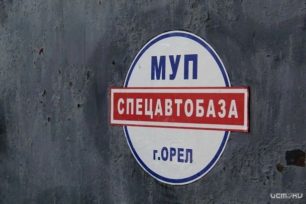 Мать покусанной собаками девочки в Орле получит компенсацию от "Спецавтобазы"