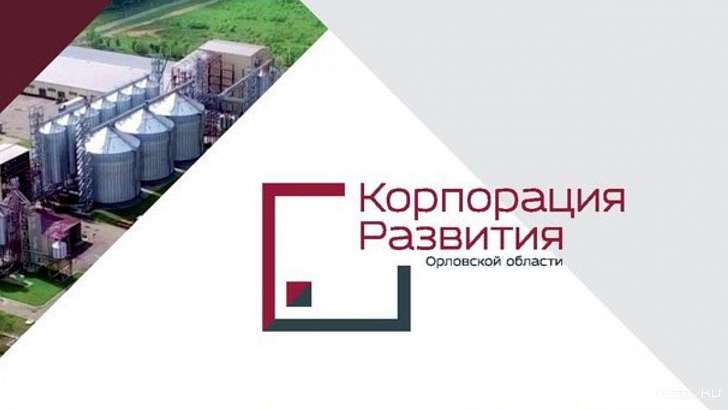 В кабинете директора Корпорации развития Орловской области проводится обыск