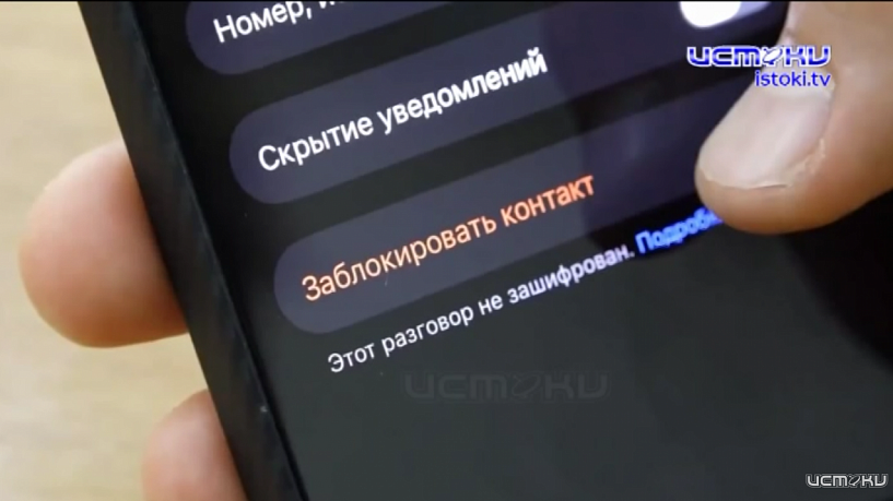 Правовые рамки и роль СК России