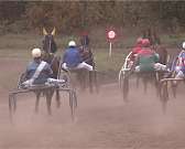 На Орловском ипподроме состоялся праздник коневодства