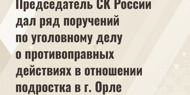Следственный комитет  Бастрыкин взял на контроль дело об избиении орловского подростка