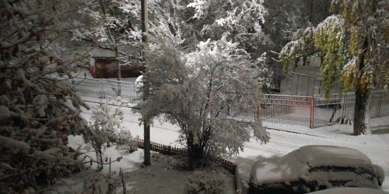 Новый победитель традиционного конкурса "Истоков" определен