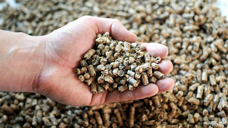 На Орловщине терпит крах крупнейший в регионе производитель комбикорма 