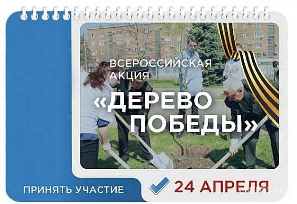 На набережной Оки посадят 450 деревьев и кустарников