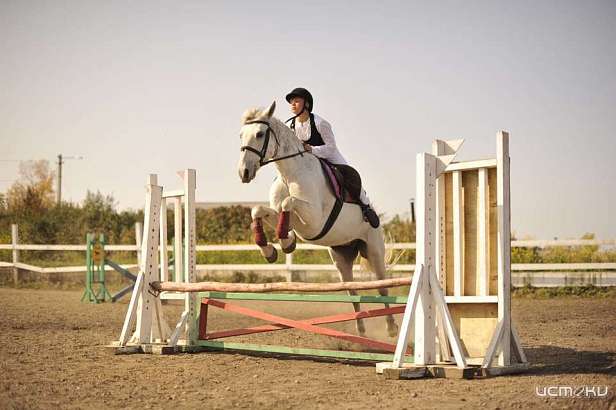 Орловский ипподром готовится к открытию традиционного бегового сезона