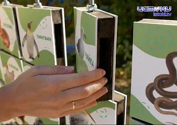 Эко.детки. Любовь к природе с самых малых лет! Эко.детки. Любовь к природе с самых малых лет!