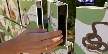 Эко.детки. Любовь к природе с самых малых лет!