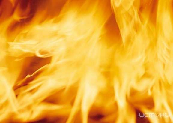 Накануне в Северном районе Орла огонь уничтожил иномарку