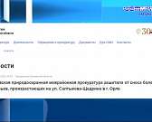 Власти Орла на выпиловку деревьев заложили более 250 млн рублей. Может быть именно это рьяное осваивание выделенной огромной суммы из бюджета и являет...