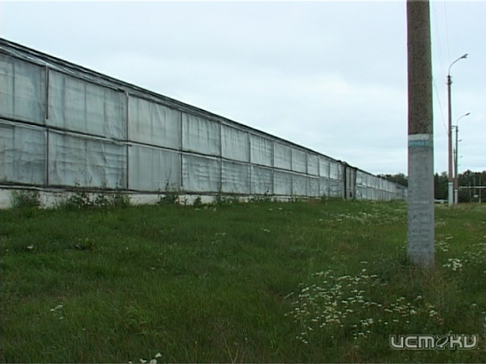 Новости за 90 секунд: банкротное "Юбилейное" в очередной раз в центре внимания, девятиэтажку по переулку Соляному подожгли, а Антистихия предупреждает о ветреных выходных