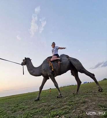 В 15 километрах от Орла открыли верблюдный клуб