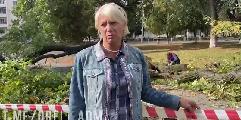«Оставшаяся часть дерева достаточно крепка»: эксперты решают судьбу 162-летнего дуба в Орле