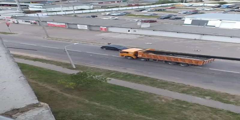 Видео: в Орле свора собак накинулась на женщину, вышедшую из маршрутки