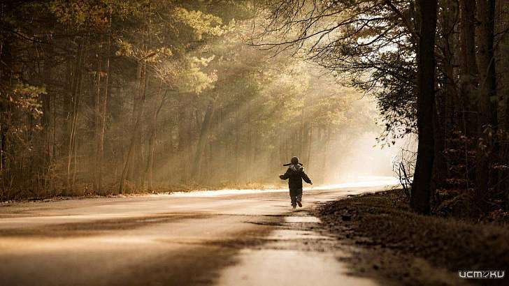 В Орловской области нашли водителя, который сбил ребенка насмерть