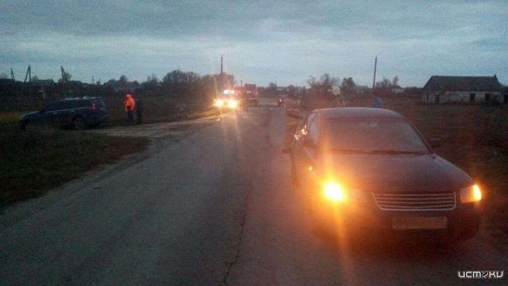 На Орловщине четырехлетний ребенок перебегал дорогу и попал под машину