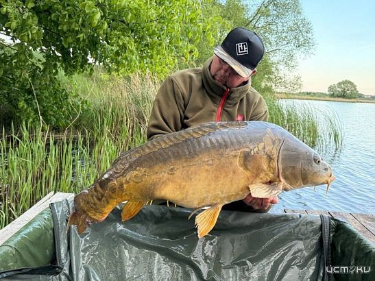 Орловские рыбаки поймали гигантского карпа весом более 20 кг