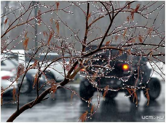 Воскресенье будет теплым, но пасмурным