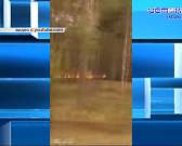 Авария на улице Лескова, создала пробку, строительство дороги из микрорайона «Болховский» заморозили, рейды ГИБДД и МЧС а так же новости с петербургск...