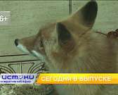 Сегодня в 19:00 смотрите очередной выпуск программы «Оперативный эфир»