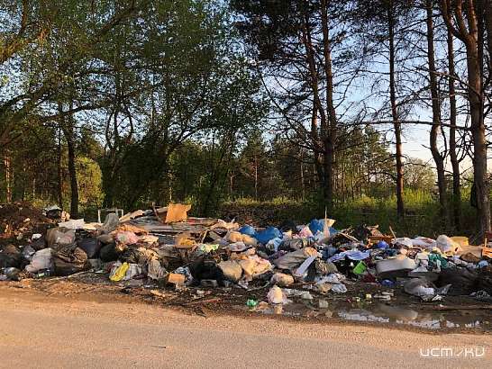 Крысы атакуют: орловские дачники жалуются на неприятное соседство