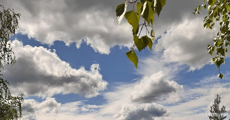 Обширный скандинавский антициклон формирует погоду на Орловщине