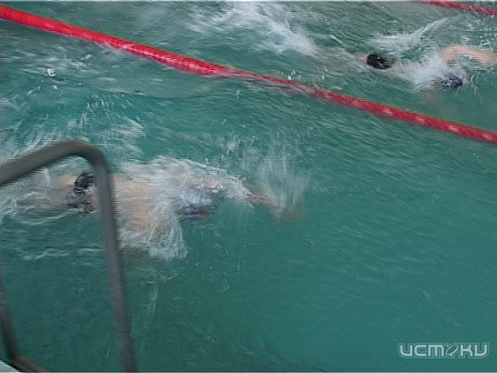 Наши надежды в плавании 