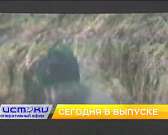 В посёлке Новообразцово кипят очередные страсти, орловские дайверы на дне Ладожского озера нашли интересные находки. Об этом и не только в программе "...