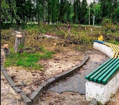 Стала известна причина массовой вырубки деревьев у КДЦ "Металлург"