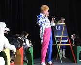 Крокодилы могут петь, а собаки говорить. Цирк Дарьи Костюк доказал