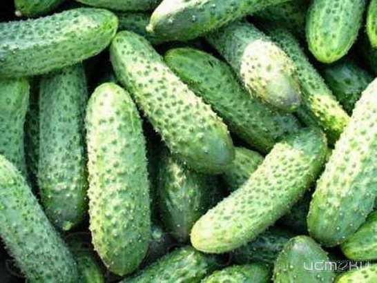 В Ливнах на рынке продавали непроверенные огурцы