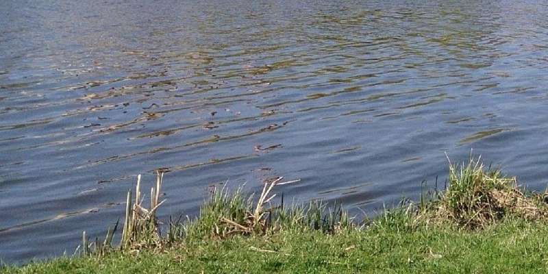 В Кромах из пруда вытащили труп мужчины