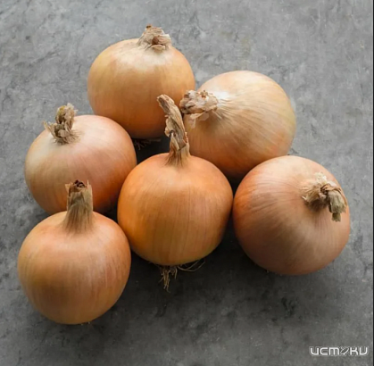 Польша получит лук из Орловской области