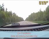 Под Орлом микроавтобус сбил косулю