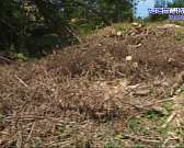 Псевдо-ремонт моста на Светлую жизнь. Орловчане в соцсетях жалуются на распиаренное обновление переправы и на реальность, которые они наблюдают. А что...