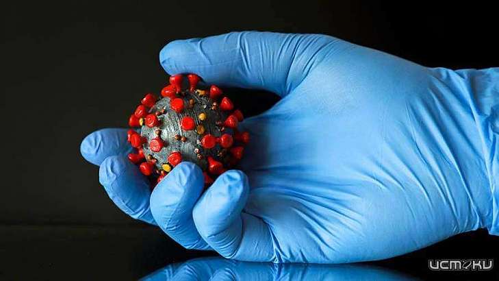 Орловчанам стал доступен счетчик вакцинации от коронавируса