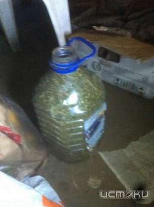 У 28-летнего жителя Орловского района нашли почти 8 кг конопли