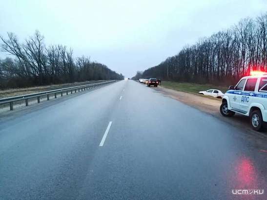 На Орловской трассе не разошлись «Тойота» и «Рено». Один из водителей пострадал