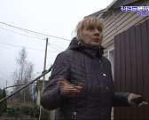 Соседи на тропе войны: в частном секторе Орла дошел до суда спор из-за высаженных туй