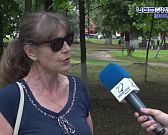 Что в парке?