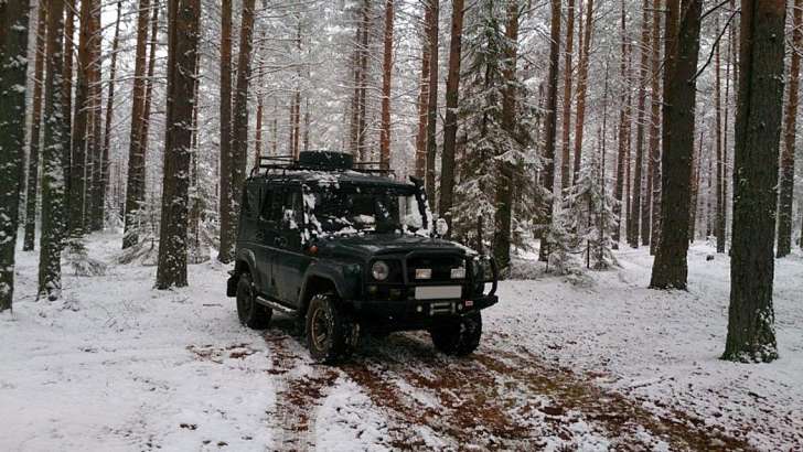 Житель Орловщины угнал у фермера авто, но не справился с управлением